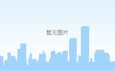 公务车系列